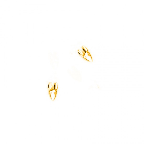 METALLIC TOOTH 4x8mm GOLD PLATED (10 pieces)